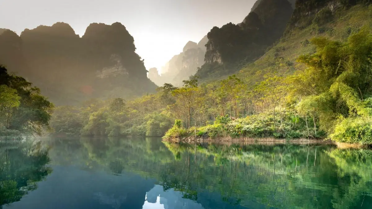 可靠性先进